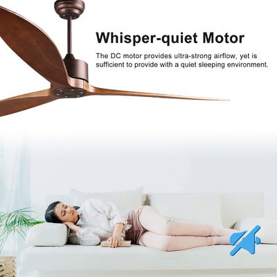 6 ταχύτητες Alexa Voice Control ABS Smart DC Motor Ceiling Fan με φωτισμό σε χρυσό Μαύρο λευκό